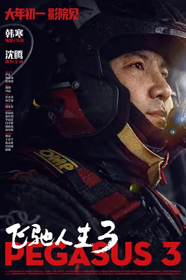国内精品久久久久影院免费