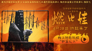 国产精品一区二区三区在线观看