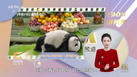 精品香蕉一区二区三区